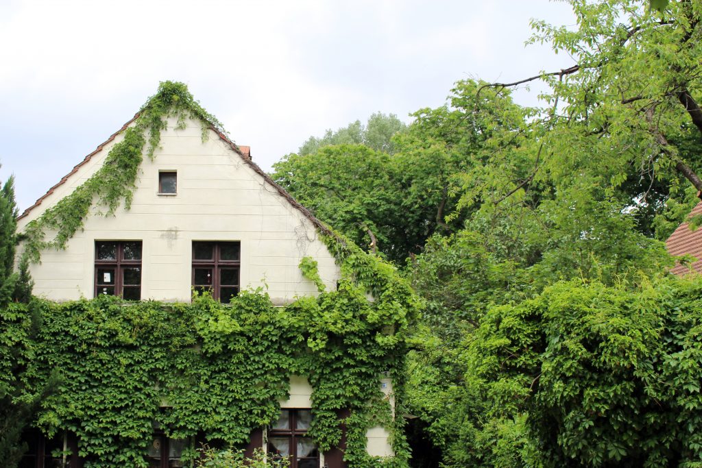 Verstecktes Idyll mitten in Neukölln: Das Böhmische Dorf in Rixdorf. Foto: Sebastian Bartelt