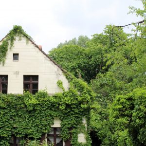 Verstecktes Idyll mitten in Neukölln: Das Böhmische Dorf in Rixdorf. Foto: Sebastian Bartelt