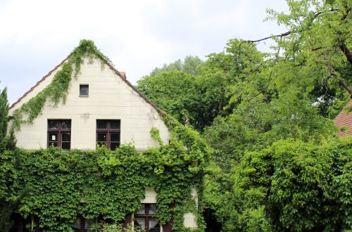Verstecktes Idyll mitten in Neukölln: Das Böhmische Dorf in Rixdorf. Foto: Sebastian Bartelt